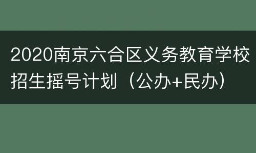 2020南京六合区义务教育学校招生摇号计划（公办+民办）