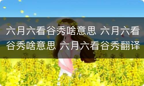 六月六看谷秀啥意思 六月六看谷秀啥意思 六月六看谷秀翻译