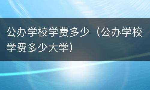 公办学校学费多少（公办学校学费多少大学）