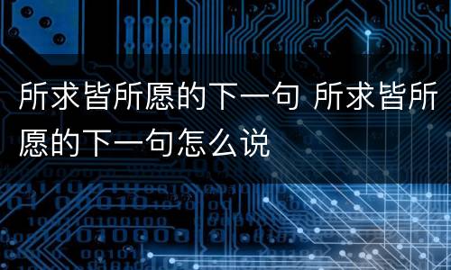 所求皆所愿的下一句 所求皆所愿的下一句怎么说