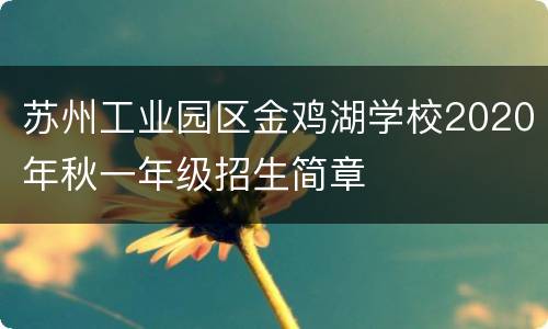 苏州工业园区金鸡湖学校2020年秋一年级招生简章
