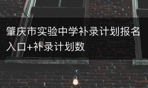 肇庆市实验中学补录计划报名入口+补录计划数