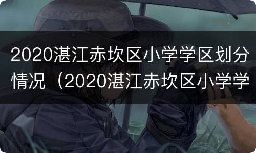 2020湛江赤坎区小学学区划分情况（2020湛江赤坎区小学学区划分情况如何）