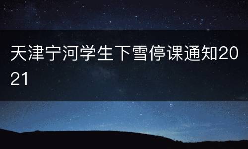 天津宁河学生下雪停课通知2021