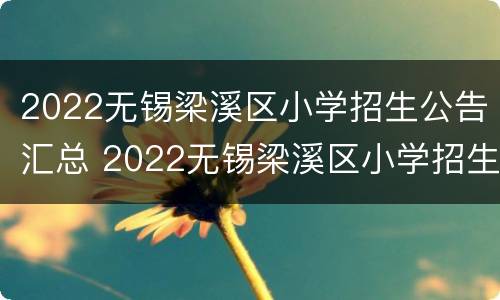 2022无锡梁溪区小学招生公告汇总 2022无锡梁溪区小学招生公告汇总