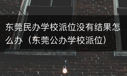 东莞民办学校派位没有结果怎么办（东莞公办学校派位）