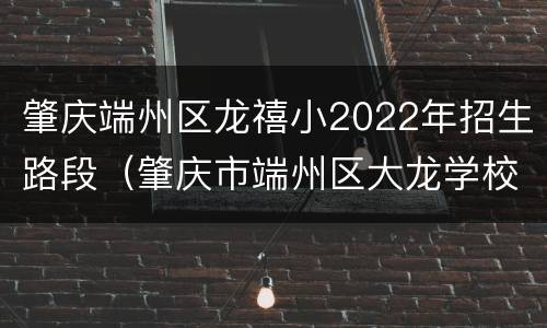 肇庆端州区龙禧小2022年招生路段（肇庆市端州区大龙学校简介）