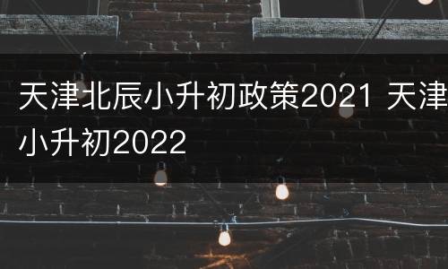 天津北辰小升初政策2021 天津小升初2022