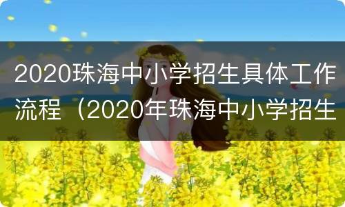 2020珠海中小学招生具体工作流程（2020年珠海中小学招生）