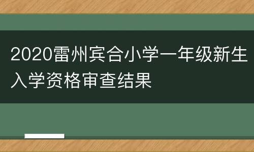 2020雷州宾合小学一年级新生入学资格审查结果