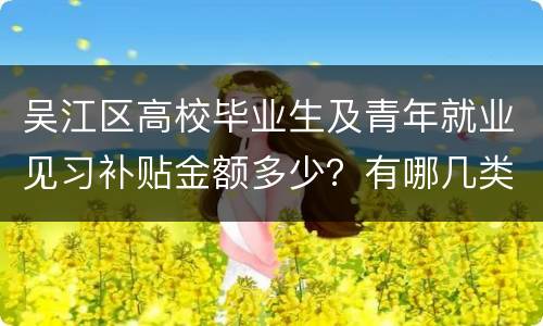 吴江区高校毕业生及青年就业见习补贴金额多少？有哪几类？