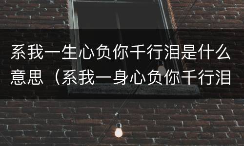 系我一生心负你千行泪是什么意思（系我一身心负你千行泪）