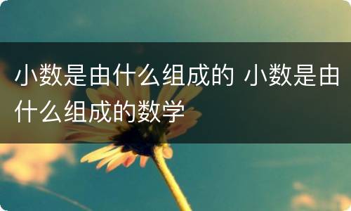 小数是由什么组成的 小数是由什么组成的数学