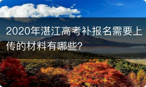 2020年湛江高考补报名需要上传的材料有哪些？