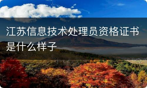 江苏信息技术处理员资格证书是什么样子