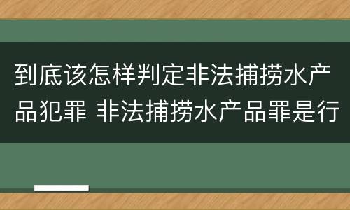 到底该怎样判定非法捕捞水产品犯罪 非法捕捞水产品罪是行为犯吗