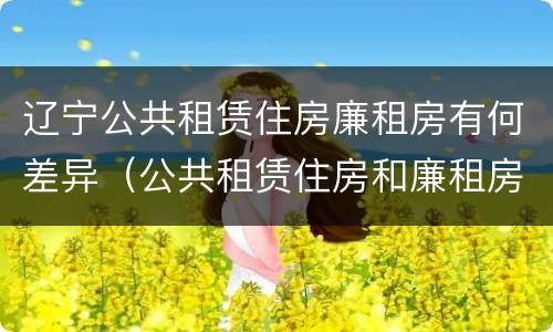 辽宁公共租赁住房廉租房有何差异（公共租赁住房和廉租房）