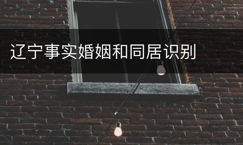 辽宁事实婚姻和同居识别