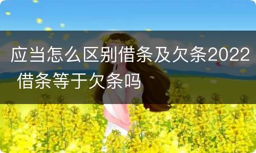 应当怎么区别借条及欠条2022 借条等于欠条吗
