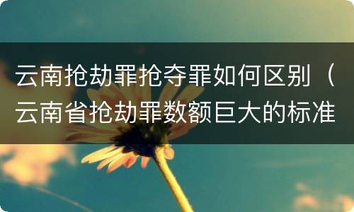 云南抢劫罪抢夺罪如何区别（云南省抢劫罪数额巨大的标准）