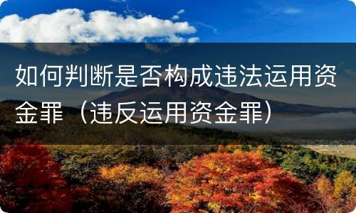 如何判断是否构成违法运用资金罪（违反运用资金罪）
