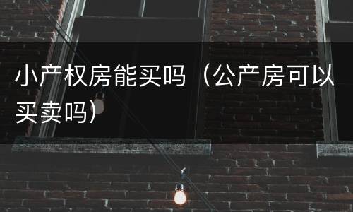 小产权房能买吗（公产房可以买卖吗）
