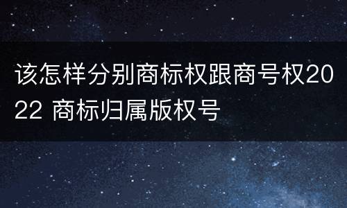 该怎样分别商标权跟商号权2022 商标归属版权号