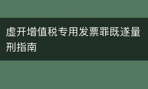 虚开增值税专用发票罪既遂量刑指南