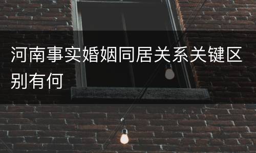 河南事实婚姻同居关系关键区别有何