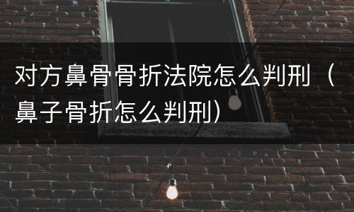 对方鼻骨骨折法院怎么判刑（鼻子骨折怎么判刑）