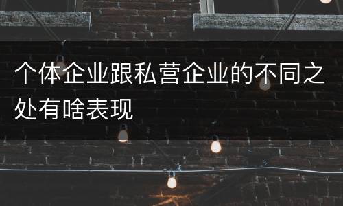 个体企业跟私营企业的不同之处有啥表现