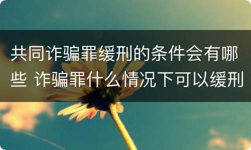 共同诈骗罪缓刑的条件会有哪些 诈骗罪什么情况下可以缓刑