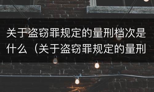 关于盗窃罪规定的量刑档次是什么（关于盗窃罪规定的量刑档次是什么意思）