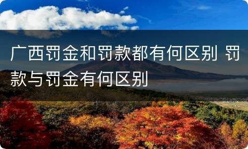 广西罚金和罚款都有何区别 罚款与罚金有何区别