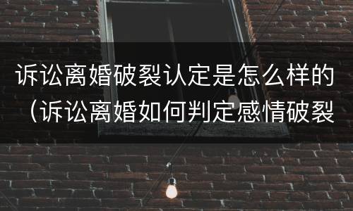 诉讼离婚破裂认定是怎么样的（诉讼离婚如何判定感情破裂）