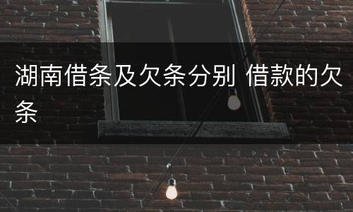 湖南借条及欠条分别 借款的欠条