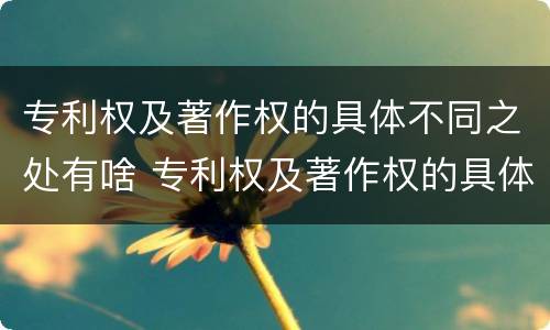 专利权及著作权的具体不同之处有啥 专利权及著作权的具体不同之处有啥区别