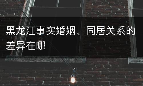 黑龙江事实婚姻、同居关系的差异在哪