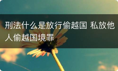 刑法什么是放行偷越国 私放他人偷越国境罪