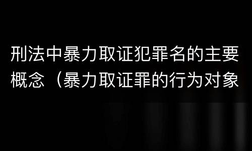刑法中暴力取证犯罪名的主要概念（暴力取证罪的行为对象是）
