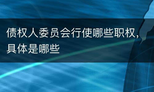 债权人委员会行使哪些职权，具体是哪些