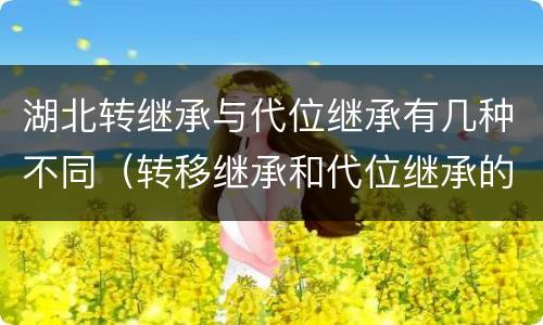 湖北转继承与代位继承有几种不同（转移继承和代位继承的区别）