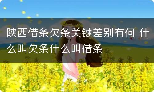 陕西借条欠条关键差别有何 什么叫欠条什么叫借条