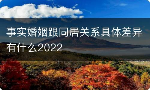 事实婚姻跟同居关系具体差异有什么2022