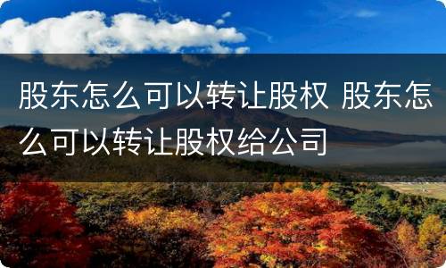 股东怎么可以转让股权 股东怎么可以转让股权给公司