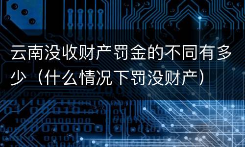 云南没收财产罚金的不同有多少（什么情况下罚没财产）