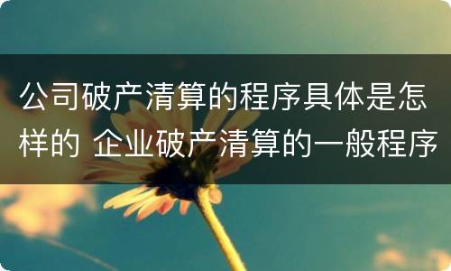 公司破产清算的程序具体是怎样的 企业破产清算的一般程序是什么?