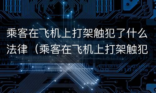 乘客在飞机上打架触犯了什么法律（乘客在飞机上打架触犯了什么法律条款）
