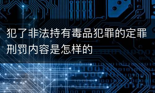 犯了非法持有毒品犯罪的定罪刑罚内容是怎样的