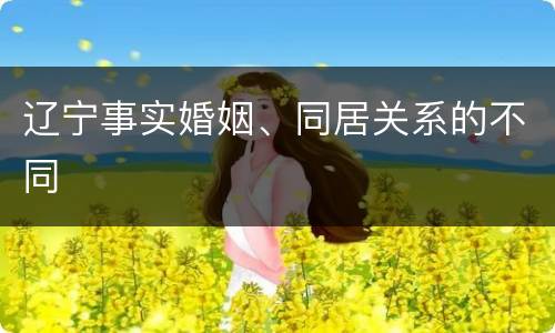 辽宁事实婚姻、同居关系的不同